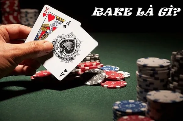 Rake Poker có giá bao nhiêu? Giải đáp thắc mắc về Rake