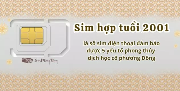 Sim phù hợp với độ tuổi 2001